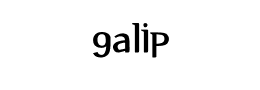 galip下载