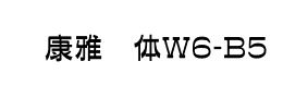 华康雅艺体W6-B5