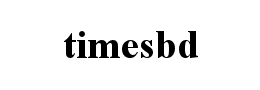 timesbd字体