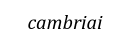 cambriai