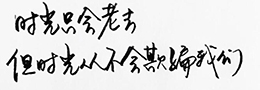 书法是在什么朝代逐渐成为一种艺术?