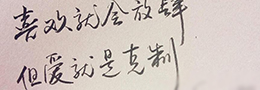 书法协会庞大的主席委员团
